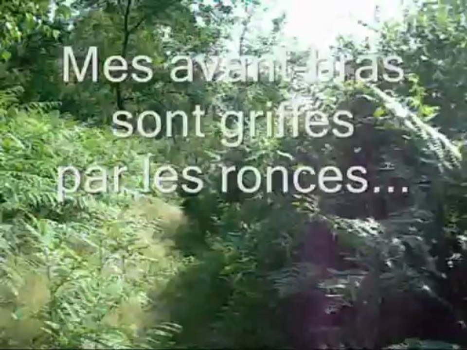 Descente VTT au Montaigu