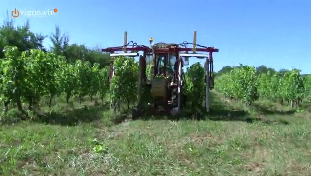 Jacques Legros Château Cantelauze épisode n°6 de la Vie d’un Domaine