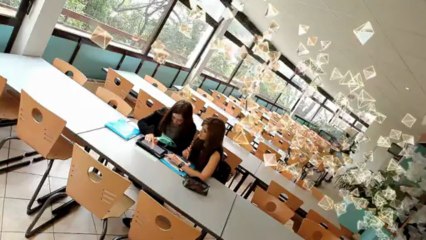 Les Universités Numériques Thématiques