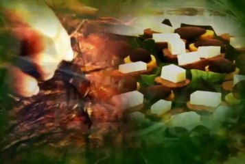 SUCRE VISIBLE  JULIO 10 DE 2013