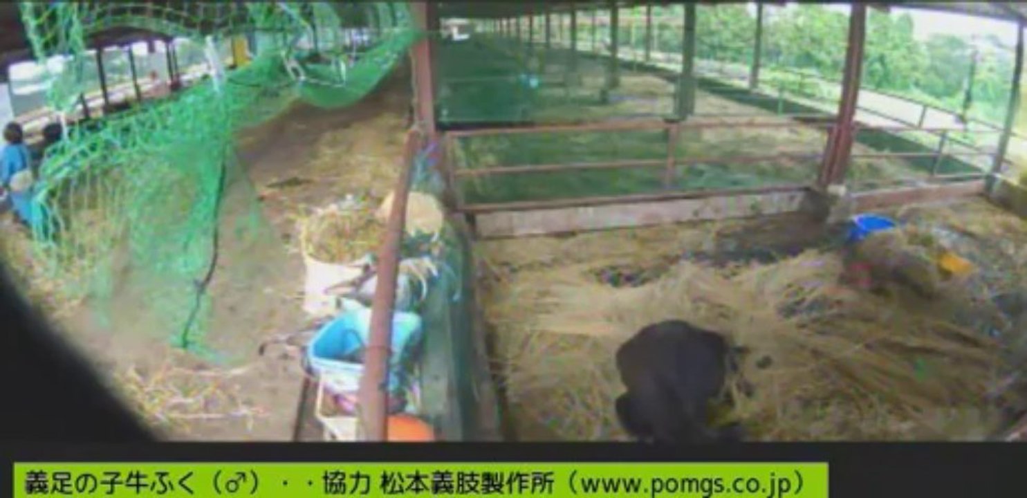 20130708　伊東先生、ぎんちゃん