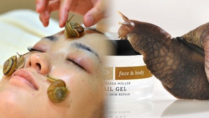 How About a Relaxing Snail Facial?