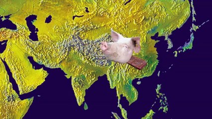 C'est bizarre, ça se mange ? Le kangourou jerky