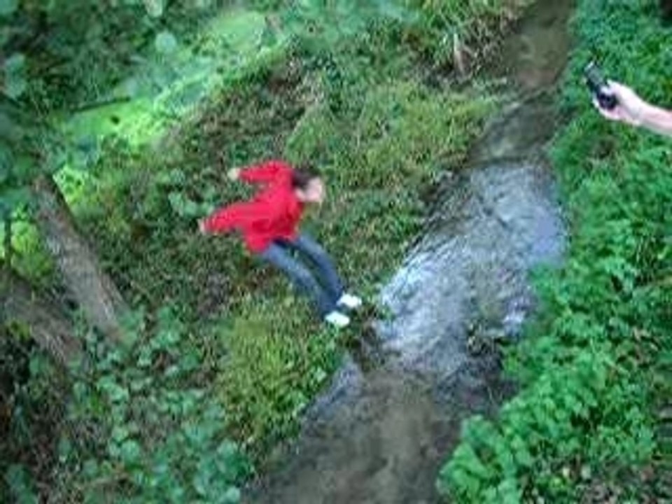 NiCo SoTe PaR DeSsU Lo