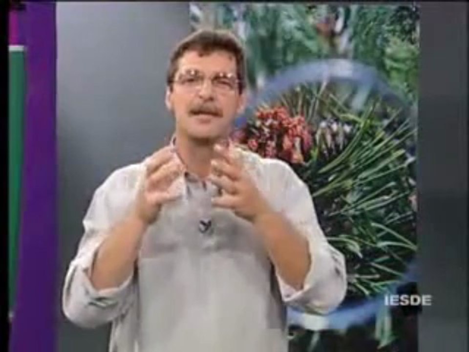 BIOLOGIA AULA 17 -- SISTEMA RESPIRATÓRIO HUMANO ANATOMIA E FISIOLOGIA Parte 2  - YouTube