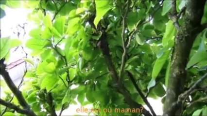 petit essaim deviendra grand