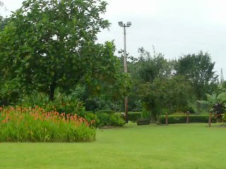 HILO HAWAII 2013 158