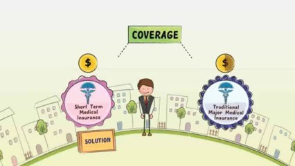 Obamacare Health Insurance Bridge To 2014