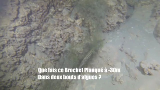 plongee tombant chatillon chindrieux lac du bourget deep ccr tartiflette team