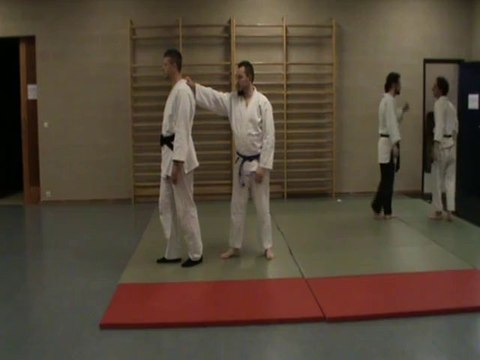 Ushiro eri dori kihon : uchi sabaki, sokumen irimi