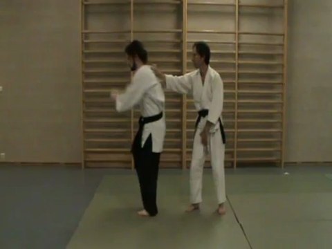Ushiro eri dori kihon : ushiro geri