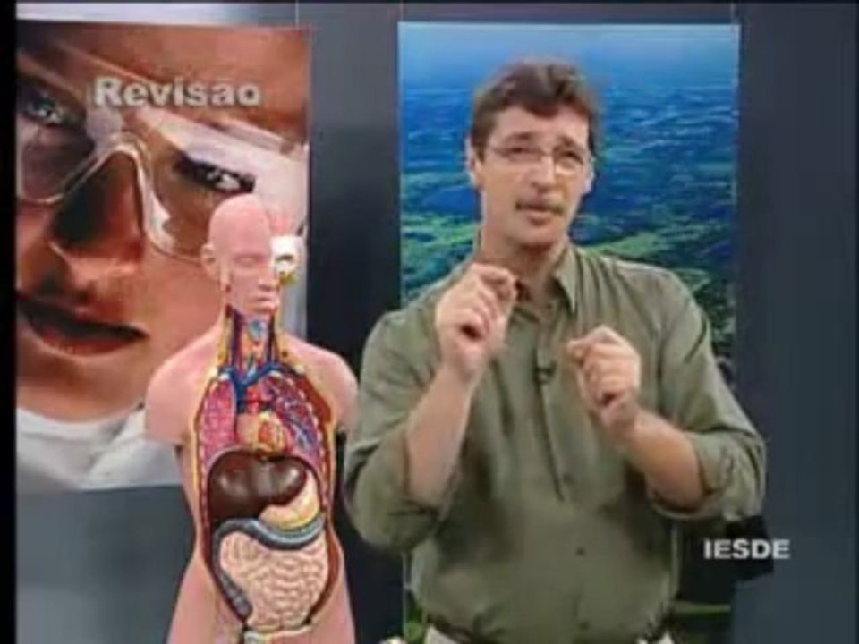 BIOLOGIA AULA 18 -- SISTEMA CIRCULATÓRIO Parte 3  - YouTube