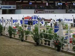 Venganza - Championnat de France ANSF des femelles de 2 ans - Saint-Lô 2011