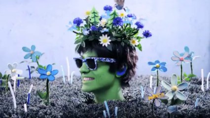 Collection Flowers Head (SD)