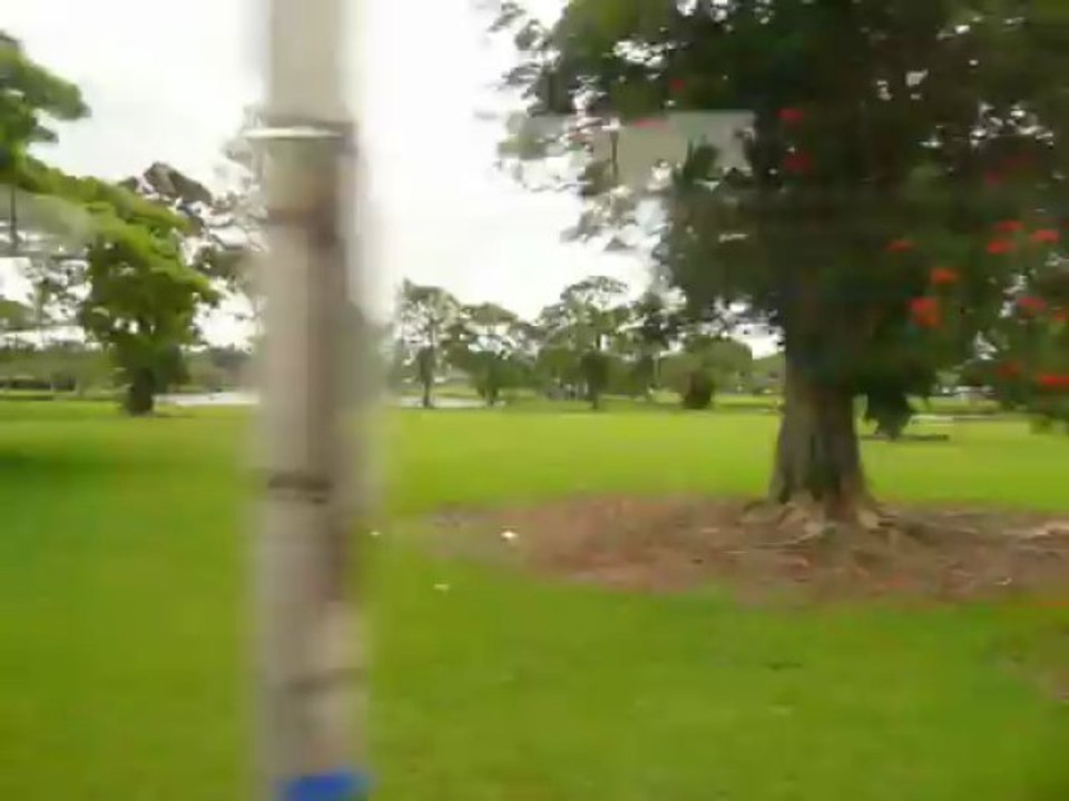 HILO HAWAII 2013 109