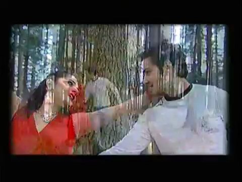 Tum Paas Aaye (Full Song) Album - Zara Sa Jhoom Loon Main