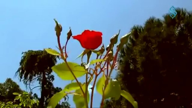 Grup Hanedan - Gavs-i Kasrevi