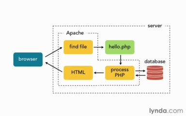 04.03.The operational trail