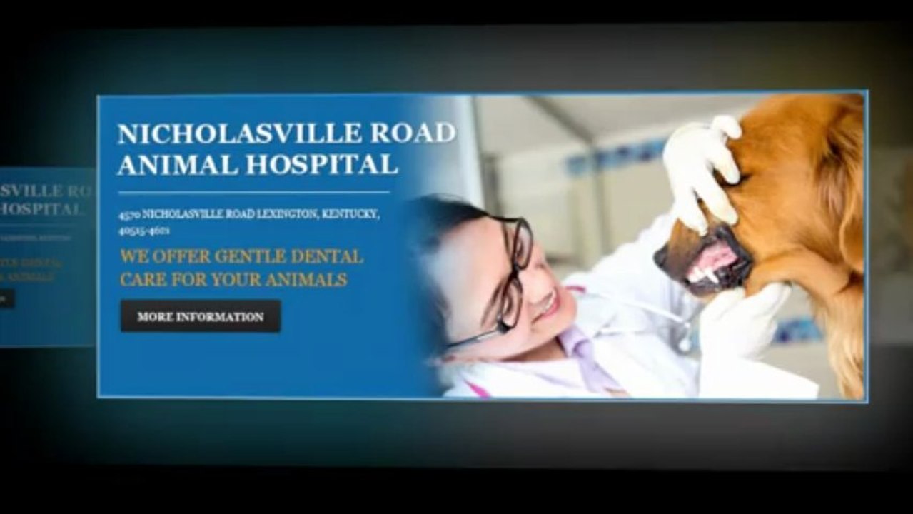 Vet Lexington KY | Veterinary Lexington KY | Veterinarian Lexington KY