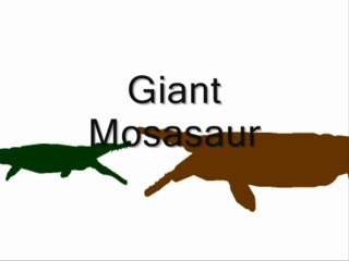 Dino tests 2 [Pivot]