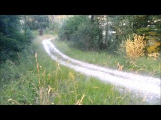 Session cross - Juillet 2013