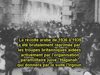 Adofl Hitler demande la paix et la liberté pour la Palestine! www.phdnm.org