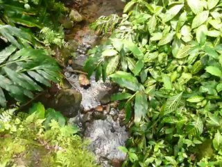 HILO HAWAII 2013 094