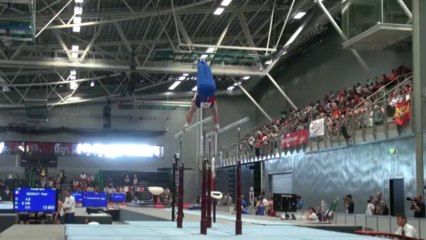 FFGYM - Rémi Clerc, FOJE 2013, Barres Parallès
