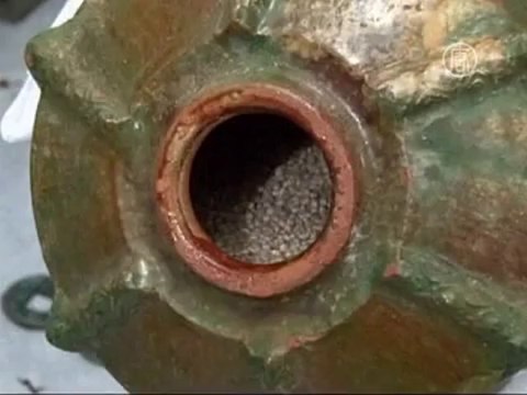 В Китае нашли зерно времен Иисуса