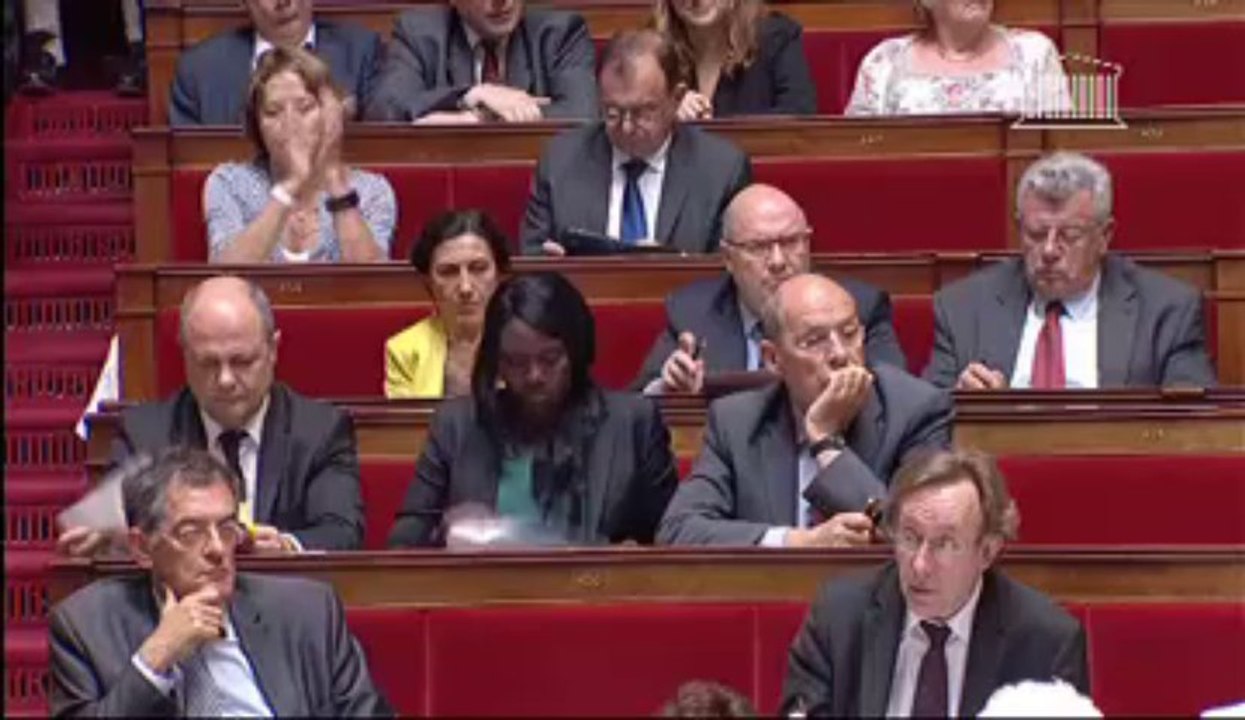 Politique économique : réponse de Pierre Moscovici à Dino Cinieri [16 juillet 2013]