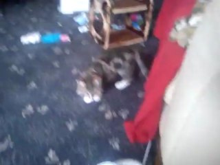 Ares-Apollo and his new toy.... A scruched up peace of paper (Part 4)