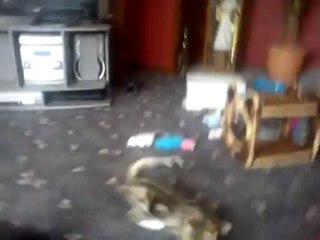 Ares-Apollo and his new toy.... A scruched up peace of paper (Last Part)