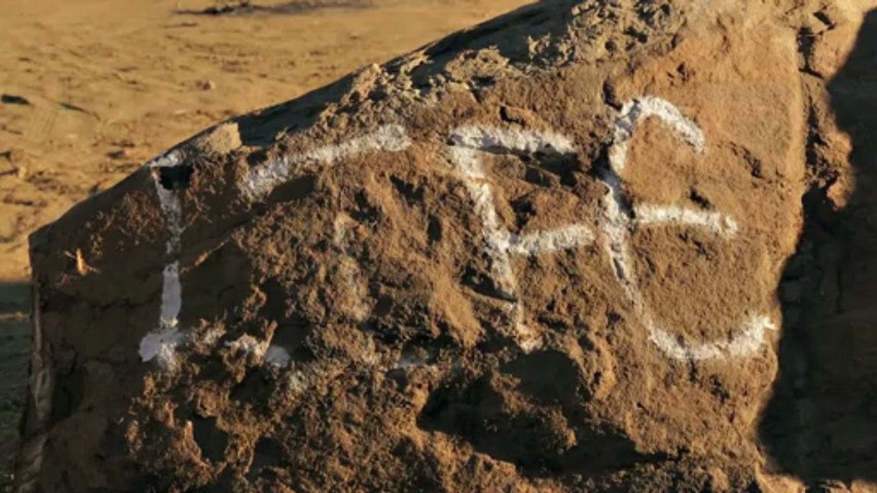 Sean Spees Longboarding Cowtown Downhill