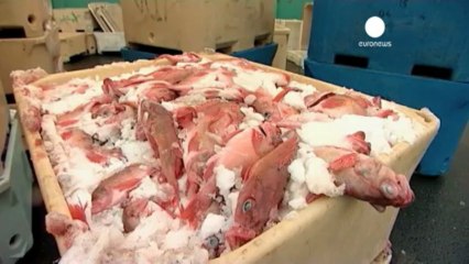 Islande : un candidat plus vraiment candidat