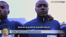 L'avis de Casoni et de Roy sur Imbula