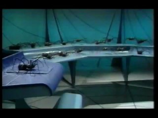 Doctor Who - Planet Of The Spiders NEXT TIME