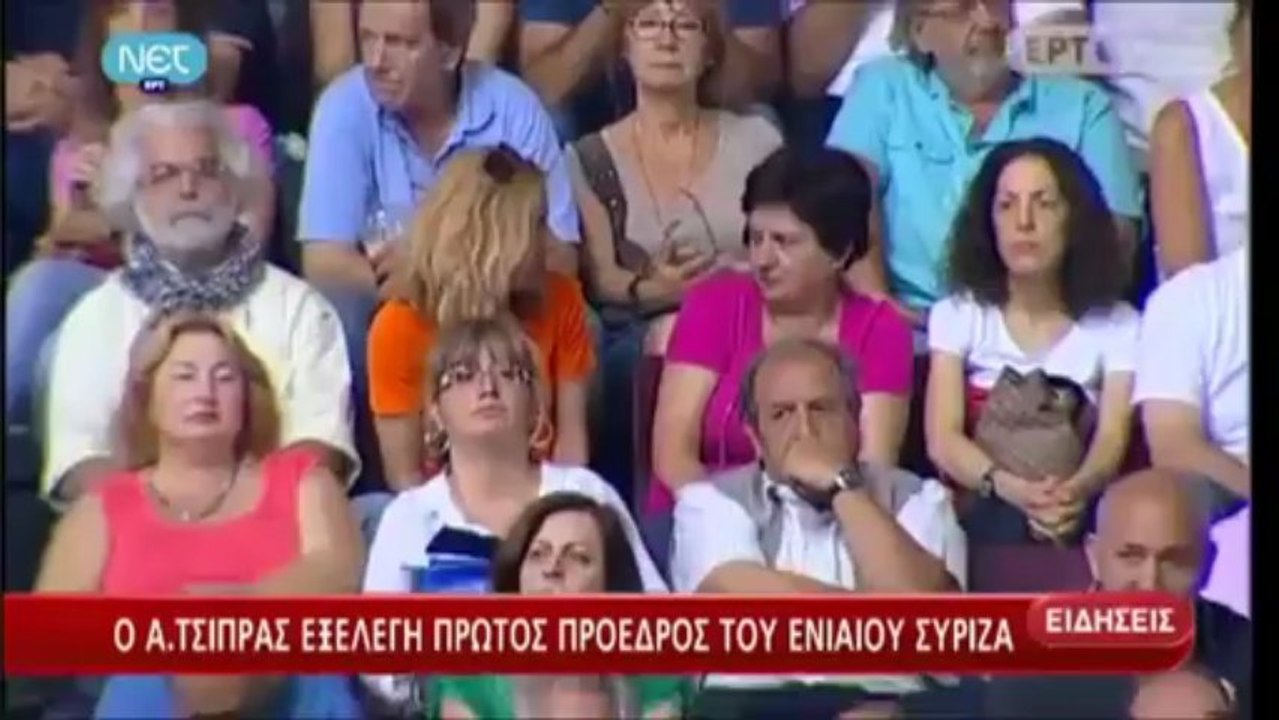 ΚΕΝΤΡΙΚΟ ΔΕΛΤΙΟ ΕΙΔΗΣΕΩΝ ΤΗΣ ΝΕΤ ΣΤΙΣ 21:00 (14-7-2013)