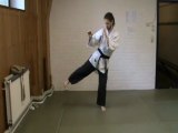 (gedan mae ashi) mawashi geri (koshi)