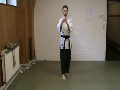 (gedan mae ashi) gyaku mawashi geri (kubi)