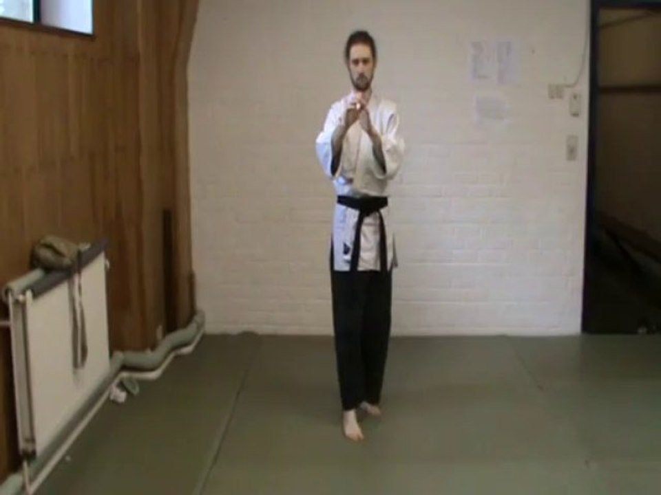(gedan mae ashi) gyaku mawashi geri (kubi)