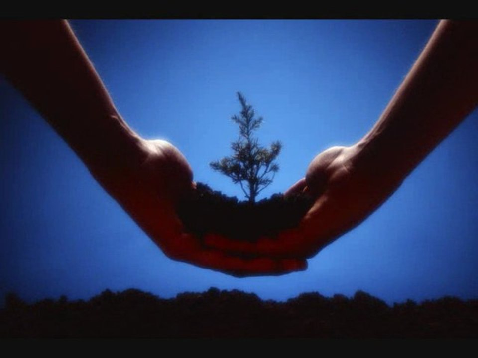 Revolution of our Souls (Lyrics by Michele Buchanan)