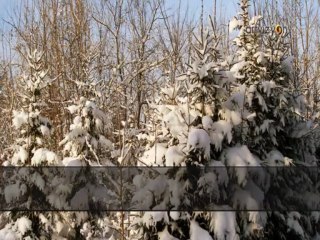 Murat Süngü - Karaçalı Türküsü