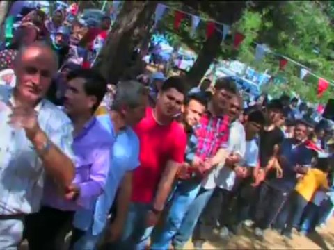 Melek Seyhan ( Eminem - Ağaçlarda Kestane )