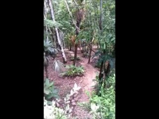 Property in Belize |The Canals at Mango Creek |904-321-9290