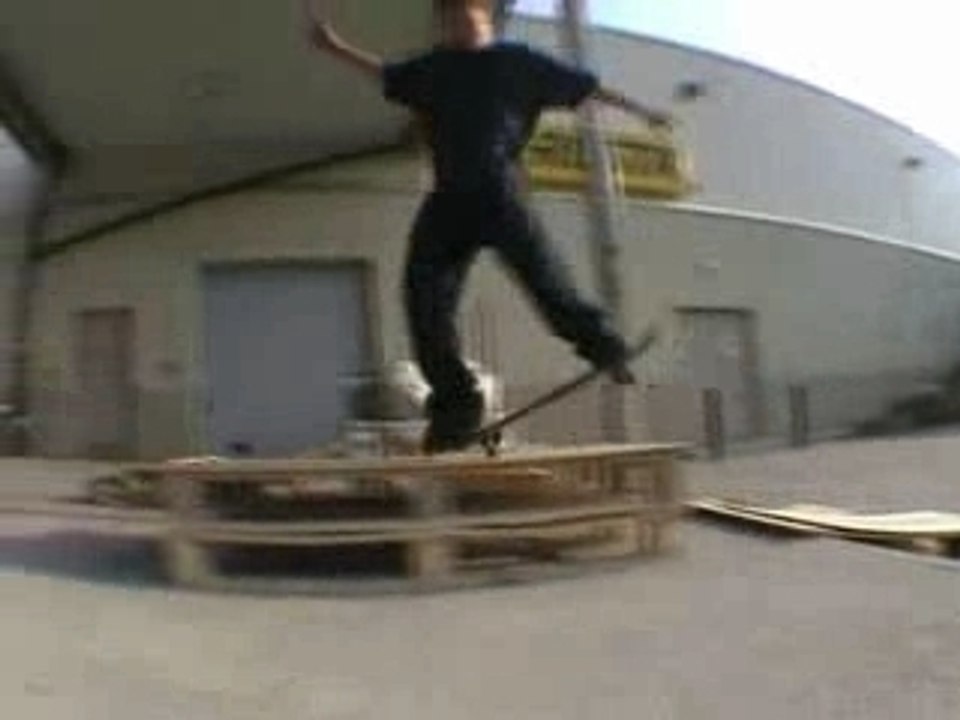 the handicap video 2006