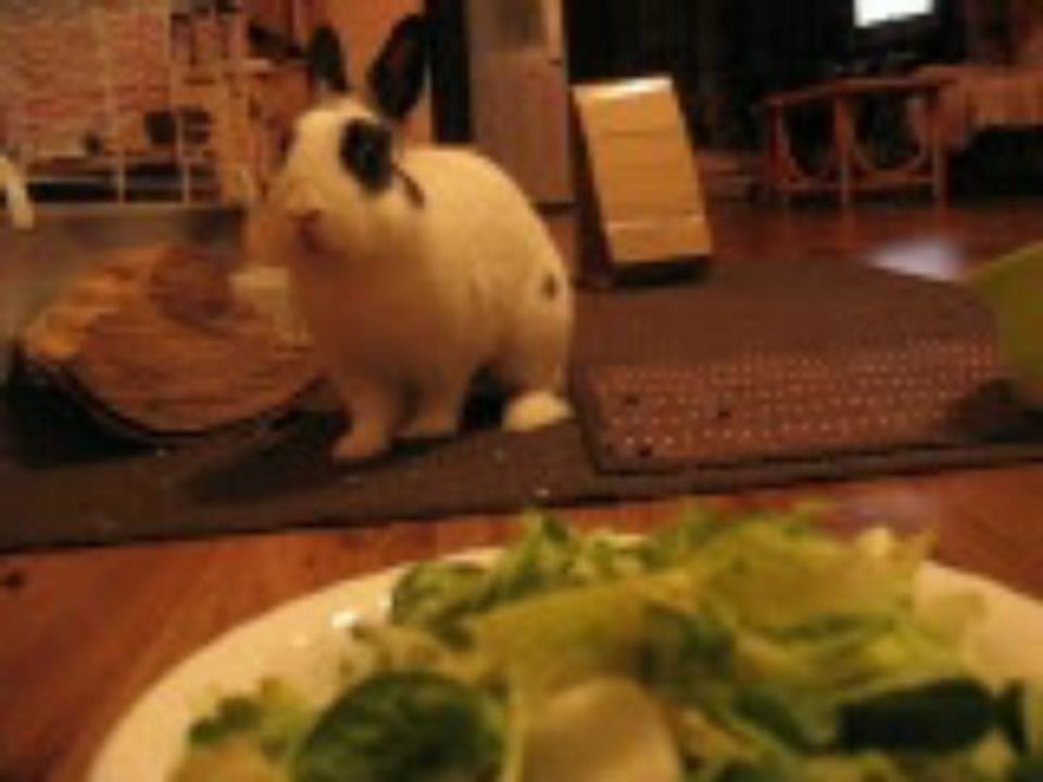 Pinou gourmand