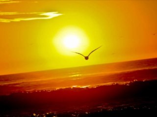 130714 　りほ　#120