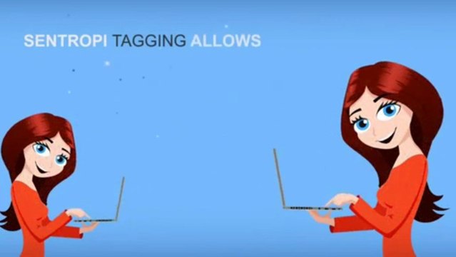 Fraud Detection & Fraud Prevention Solution-Sentropi