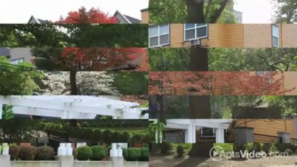 Riverplace Square Apartments in Portland, OR - ForRent.com