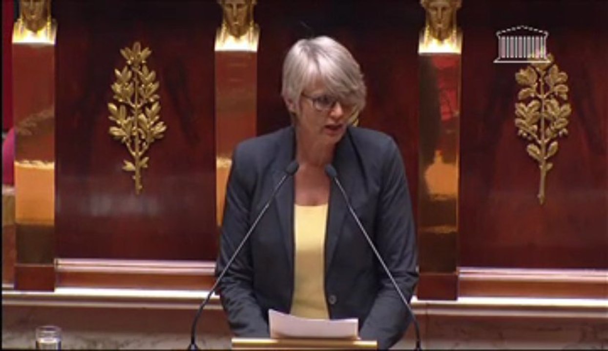 Véronique Massonneau - Explication de vote sur la Recherche embryonnaire